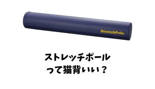 ストレッチポールは猫背に効果的？猫背改善の仕組みやおすすめ商品もご紹介！